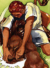 The Story of David - Bible Story Comic Book